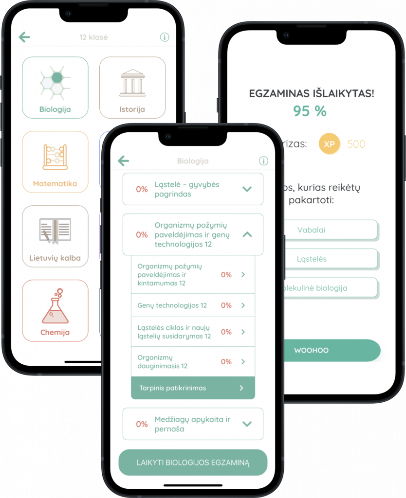 programele moksleiviams pasiruosti egzaminams brandos egzaminai